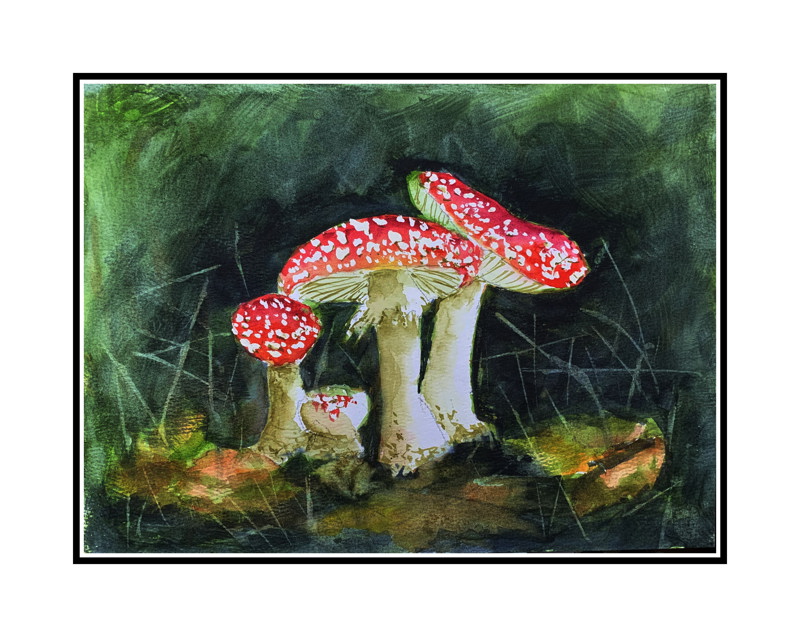 fly agaric