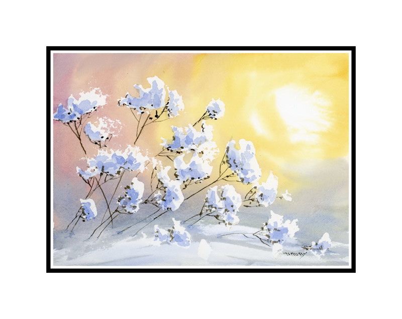 Queen anns lace in snow